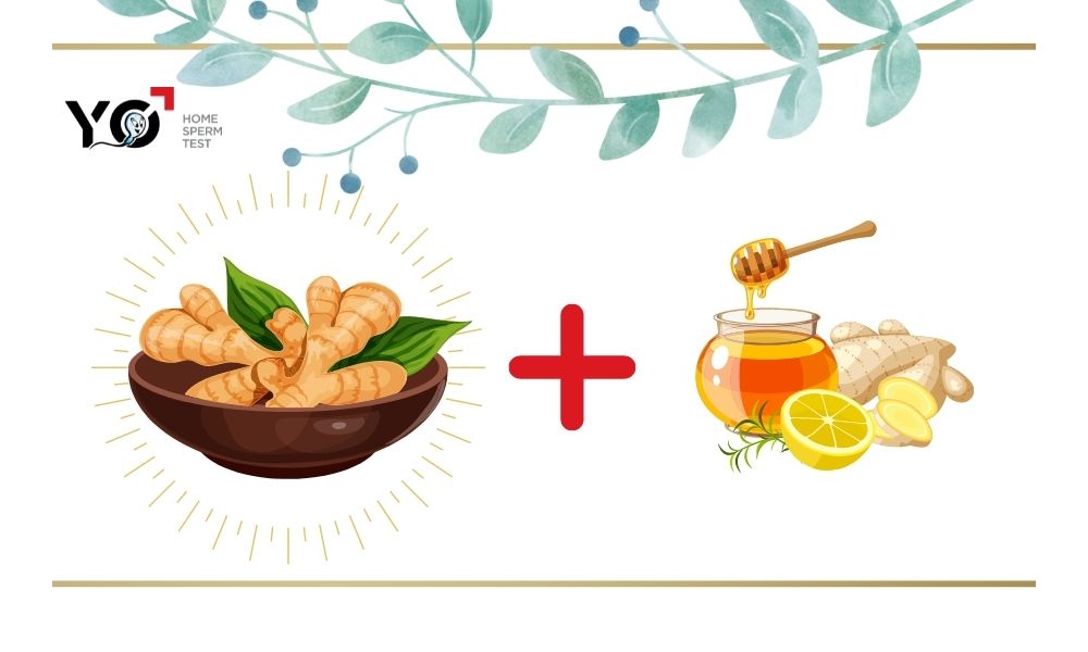 Sử dụng gừng tươi hàng ngày giúp cải thiện tinh trùng vón cục nhanh chóng