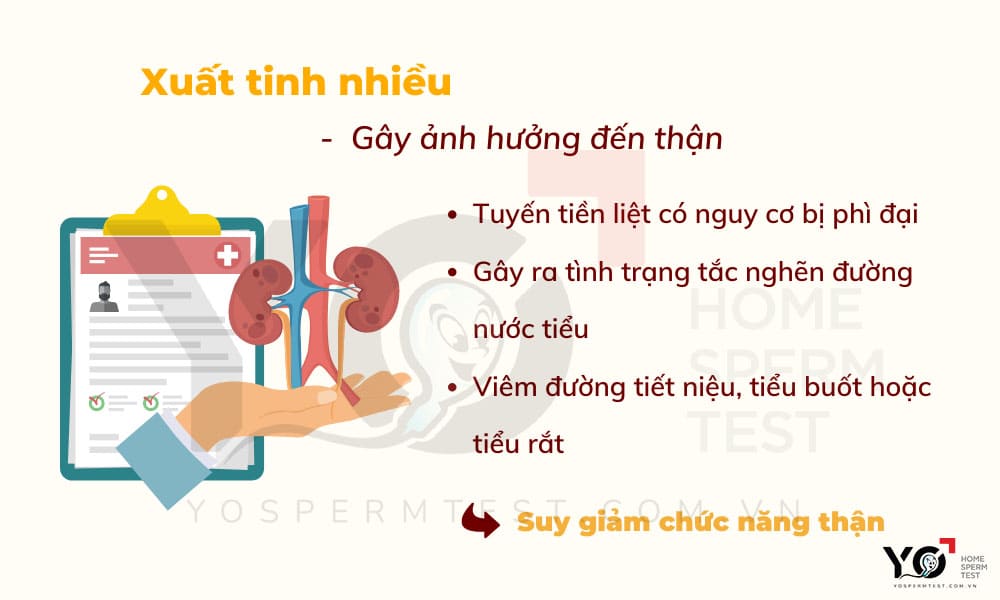 xuất tinh nhiều bị ảnh hưởng 
