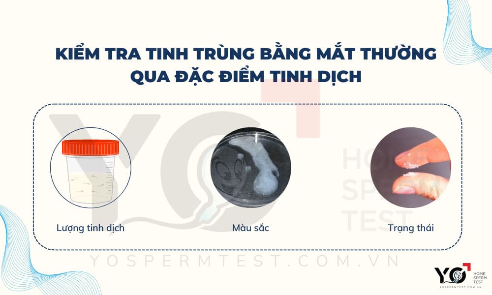 Dựa vào đặc điểm tinh dịch để kiểm tra chất lượng tinh trùng