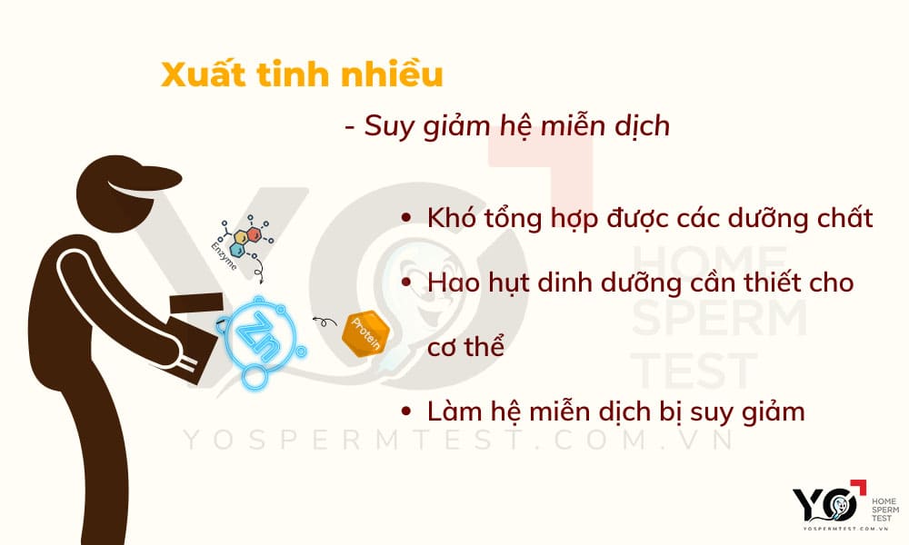Xuất tinh nhiều ảnh hưởng đến hệ miễn dịch ở nam giới