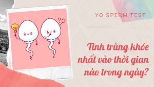 tinh trùng khỏe nhất vào thời gian nào trong ngày