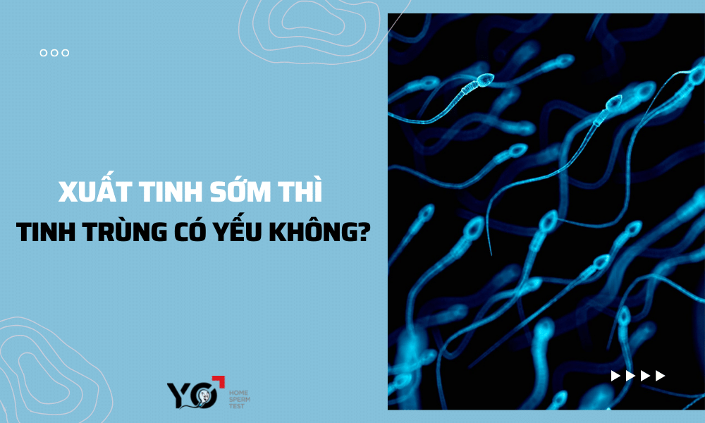 Xuất tinh sớm thì tinh trùng có yếu không?