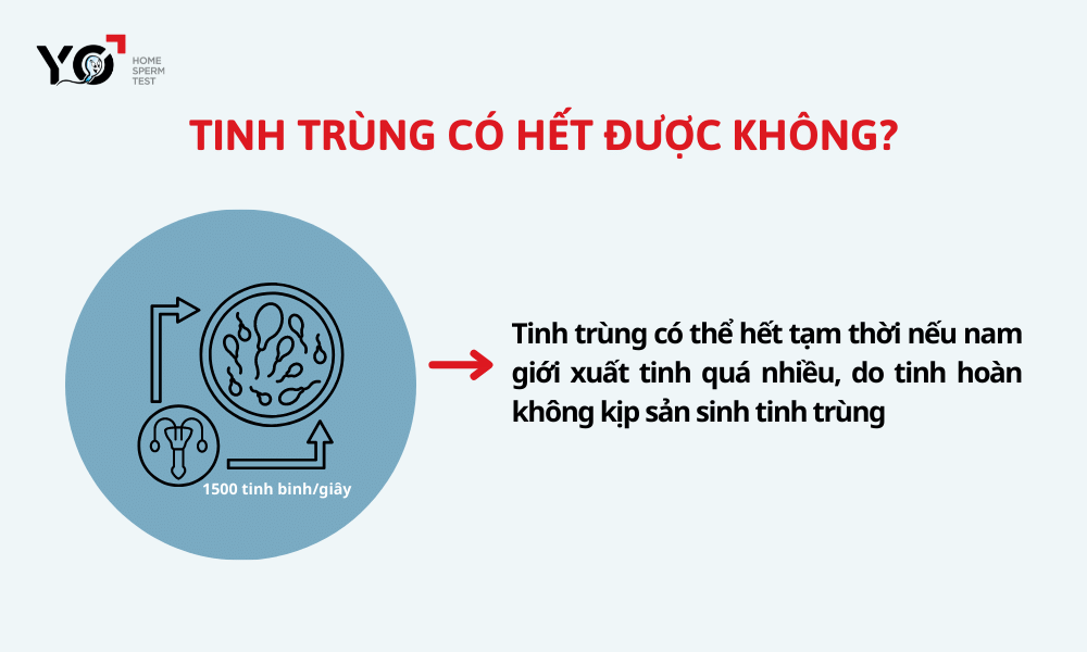 Tinh trùng có thể hết tạm thời nếu nam giới xuất tinh từ 6-7 lần/ngày
