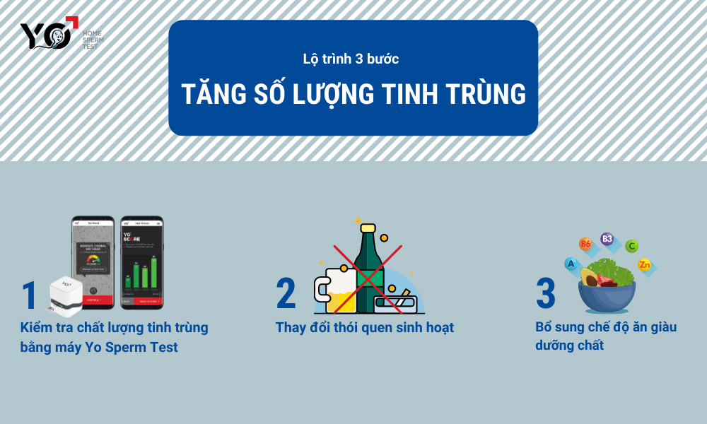 Hướng dẫn cụ thể 3 bước giúp tăng số lượng và chất lượng tinh trùng hiệu quả tại nhà