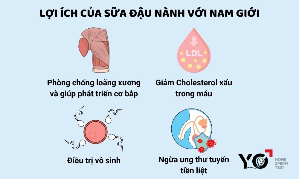 Sữa đậu nành mang lại nhiều lợi ích cho sức khỏe nam giới