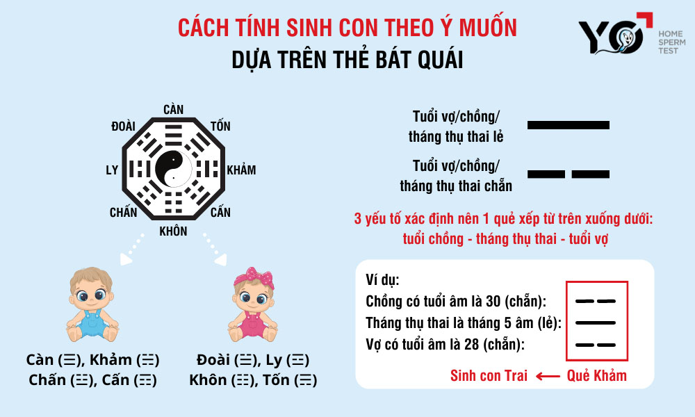Cách sinh con theo ý muốn dựa trên thẻ bát quái