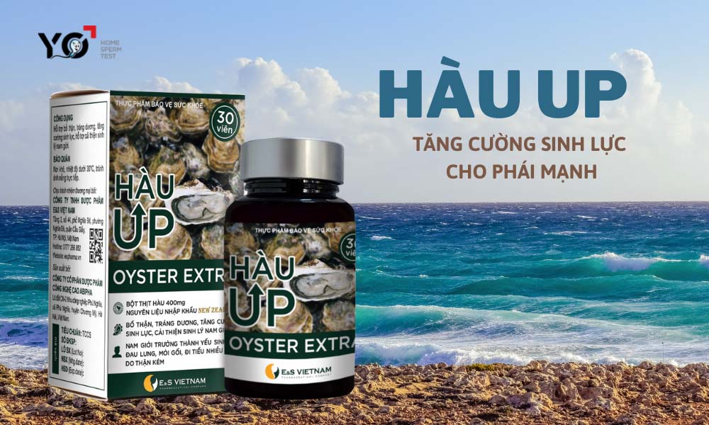 Hàu Up với nguyên liệu từ thiên nhiên giúp nam giới nhanh chóng lấy lại phong độ