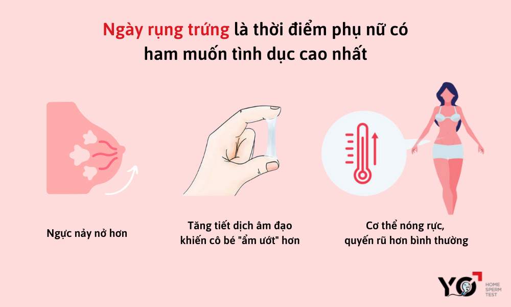 Ngày rụng trứng là thời điểm phụ nữ có ham muốn tình dục cao nhất