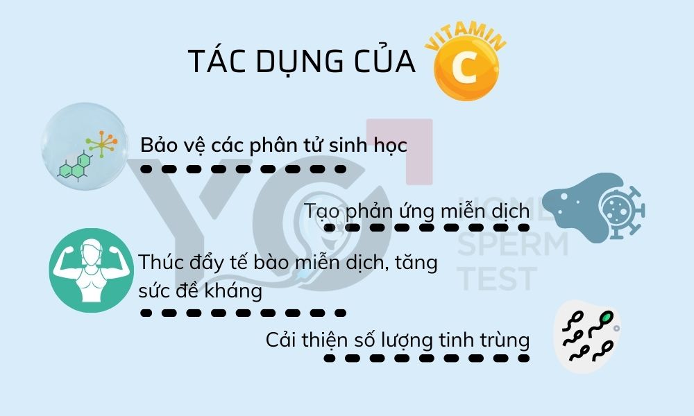 Vitamin C giúp tăng cường sức đề kháng phòng ngừa và hồi phục Covid-19