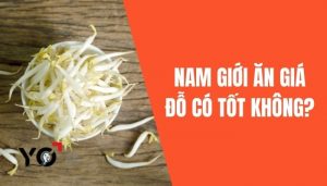 Nam giới ăn giá đỗ có tốt không
