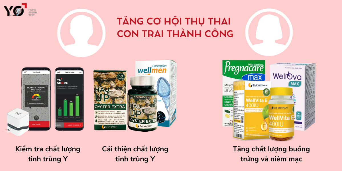 Bố mẹ cần bồi bổ tinh trùng Y và tăng chất lượng trứng để tăng cơ hội thụ thai