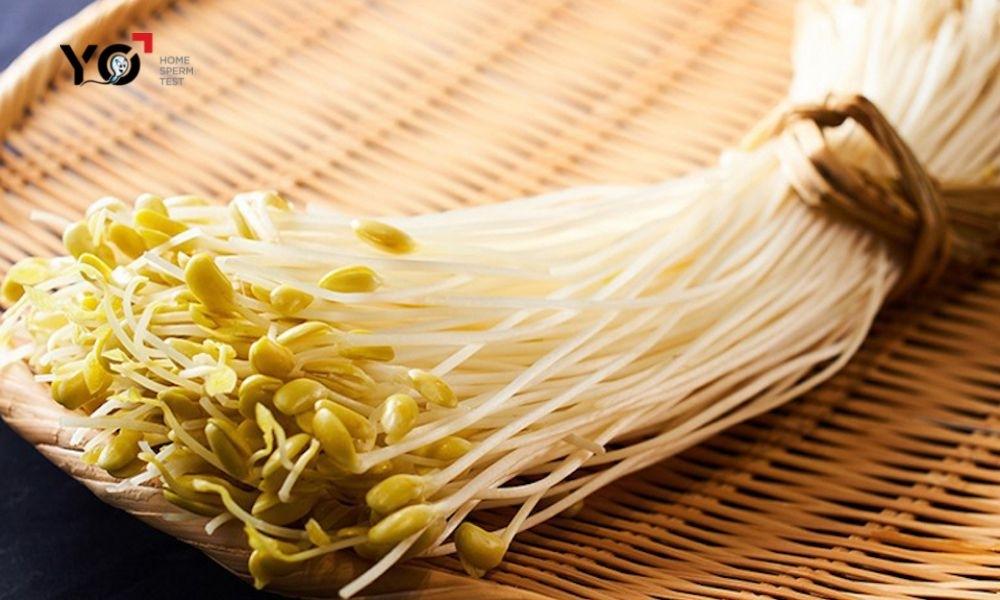 Ăn giá đỗ có tốt không là thắc mắc của nhiều người