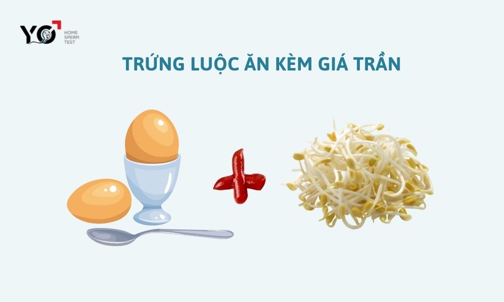 Cách chữa yếu sinh lý bằng trứng gà kết hợp với giá đỗ xanh