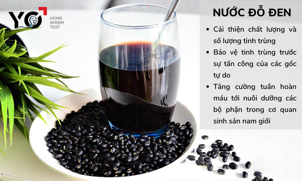 Đàn ông có nên uống nước đỗ đen để cải thiện sinh lý?