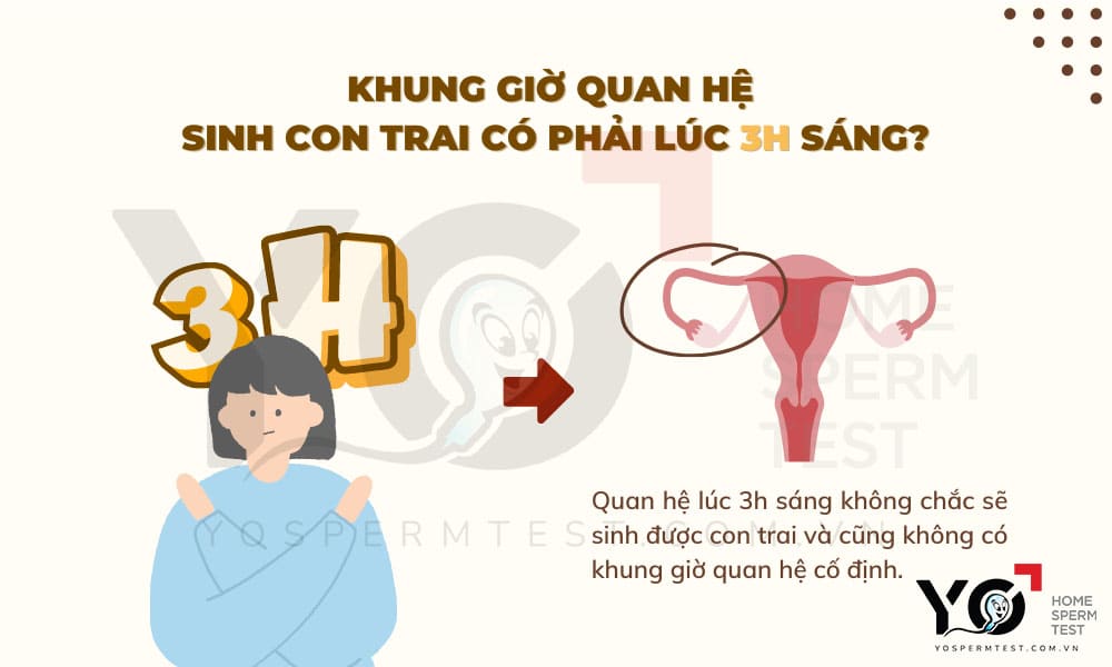 Không có khung giờ quan hệ cố định để sinh con trai