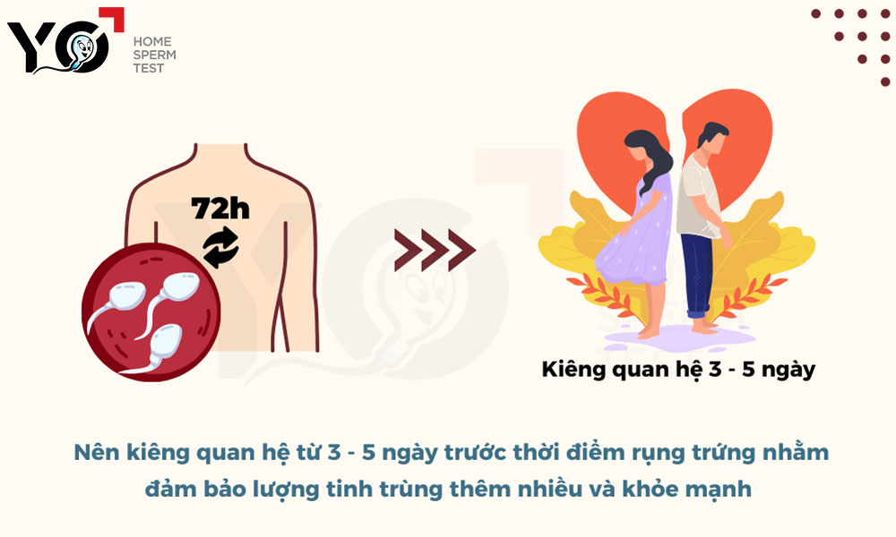 Bố mẹ nên kiêng quan hệ từ 3 - 5 ngày nhằm đảm bảo chất lượng tinh trùng