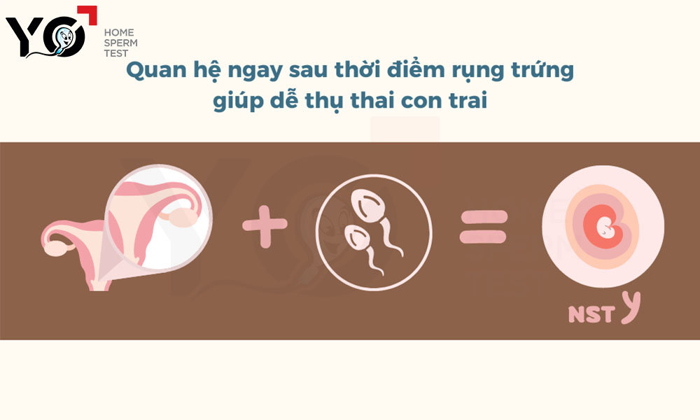 Để tăng cơ hội thụ thai con trai, bố mẹ hãy quan hệ ngay sau thời điểm rụng trứng