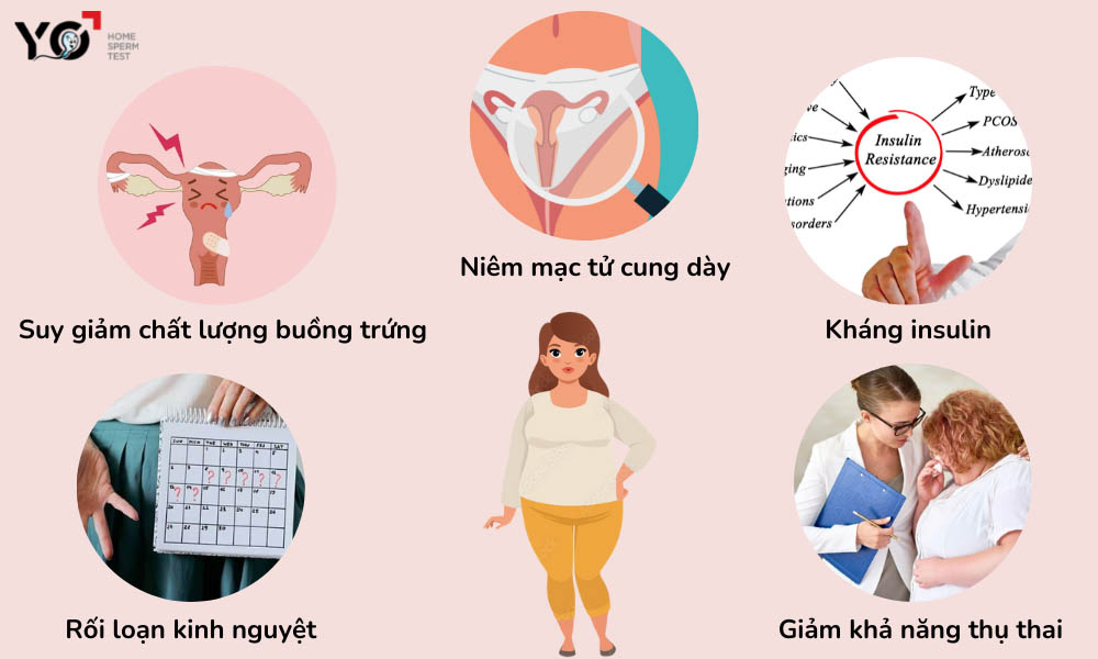 Các vấn đề sinh sản ở phụ nữ béo phì 