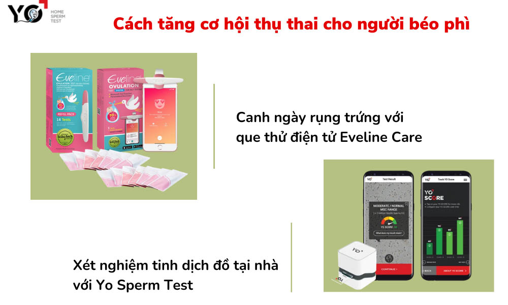 Canh ngày rụng trứng và kiểm tra chất lượng tinh trùng để tăng cơ hội thụ thai