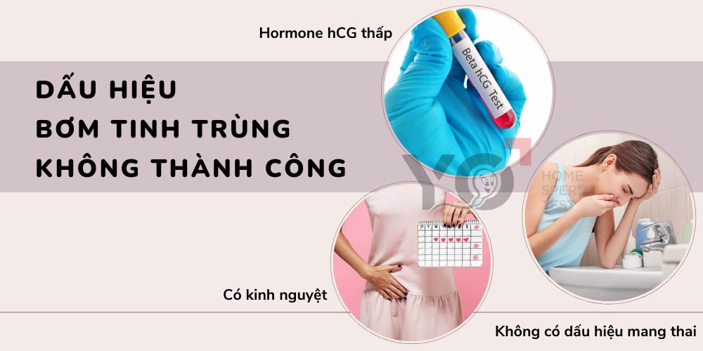 Những dấu hiệu bơm tinh trùng không thành công