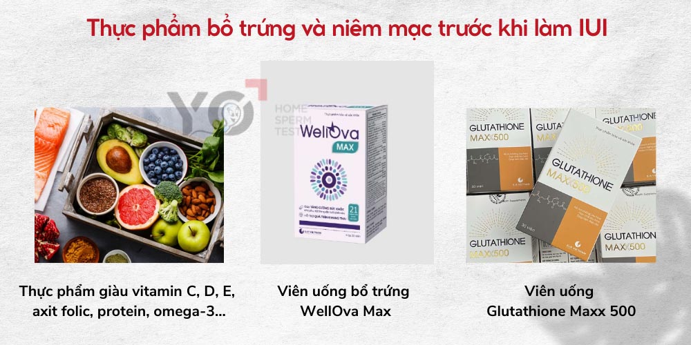 Bồi bổ trứng và niêm mạc để tăng cơ hội thực hiện IUI thành công