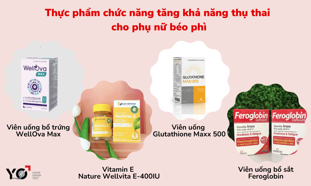 Phụ nữ béo phì nên sử dụng các loại thực phẩm chức năng bổ trứng và niêm mạc