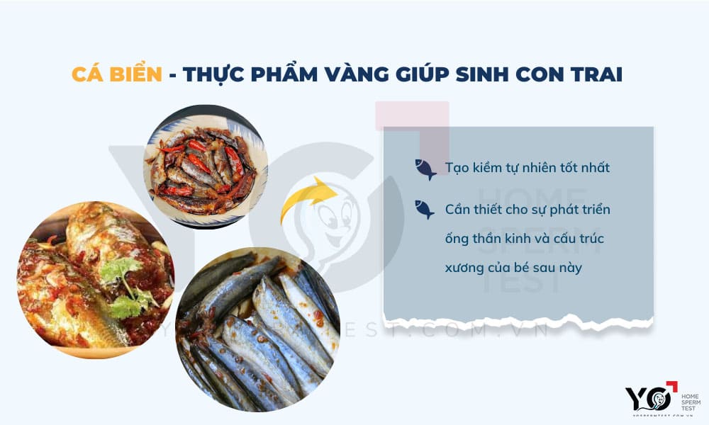 Cá biển là thực phẩm mẹ không nên bỏ qua nếu muốn sớm sinh con trai