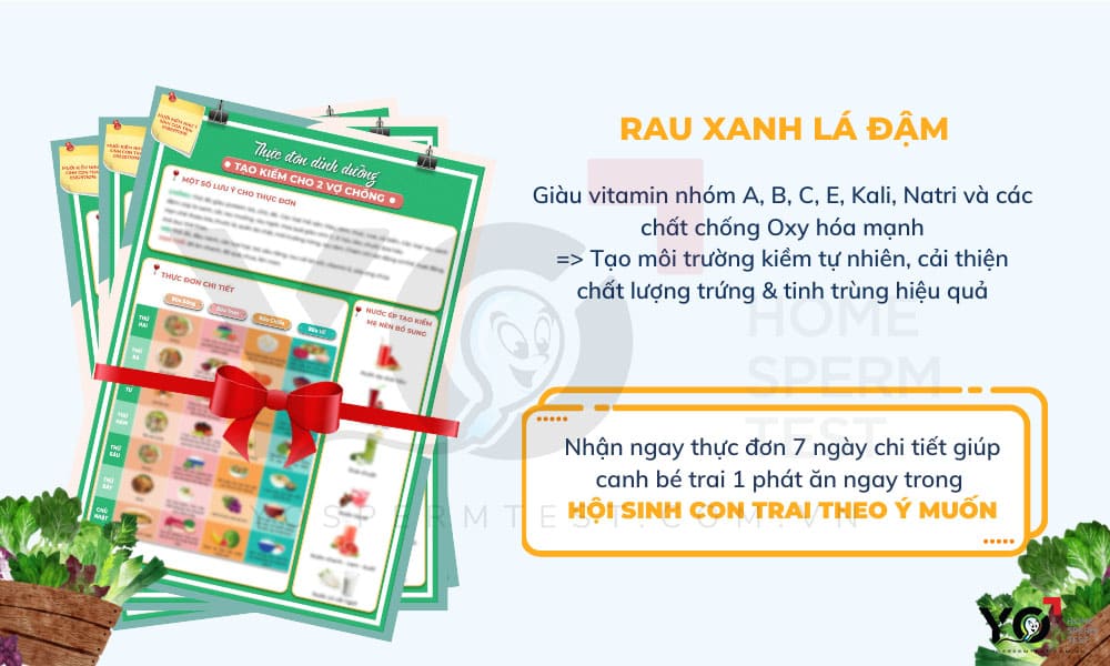 rau xanh lá đậm là thực phẩm mẹ chớ nên bỏ qua nếu muốn sinh con trai