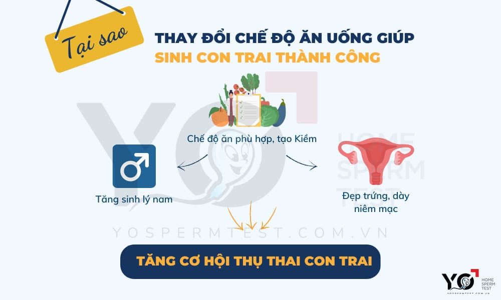 Để tinh trùng Y phát triển, sớm thụ thai con trai, mệ nên có chế độ ăn phù hợp