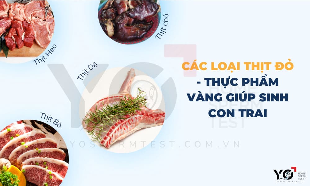 Nhóm thịt đỏ giúp mẹ tạo môi trường Kiềm, sinh con trai như ý