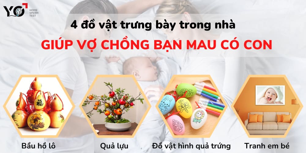 Các đồ vật cầu con nên trưng bày trong nhà