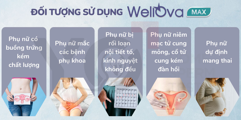 Đối tượng được khuyên dùng viên uống WellOva Max