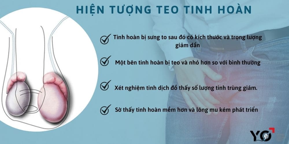Rượu là một trong những nguyên nhân gây teo tinh hoàn