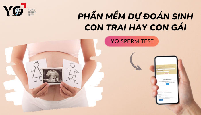 Phần mềm dự đoán sinh con trai hay gái