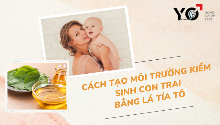 Cách tạo môi trường kiềm bằng lá tía tô để sinh con trai