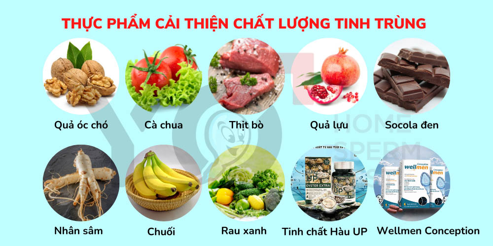 Một số thực phẩm giúp cải thiện chất lượng tinh trùng