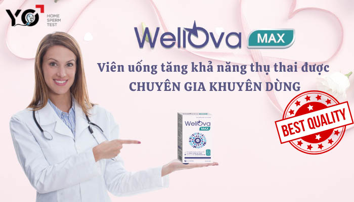 WellOva Max Viên uống tăng khả năng thụ thai theo ý muốn