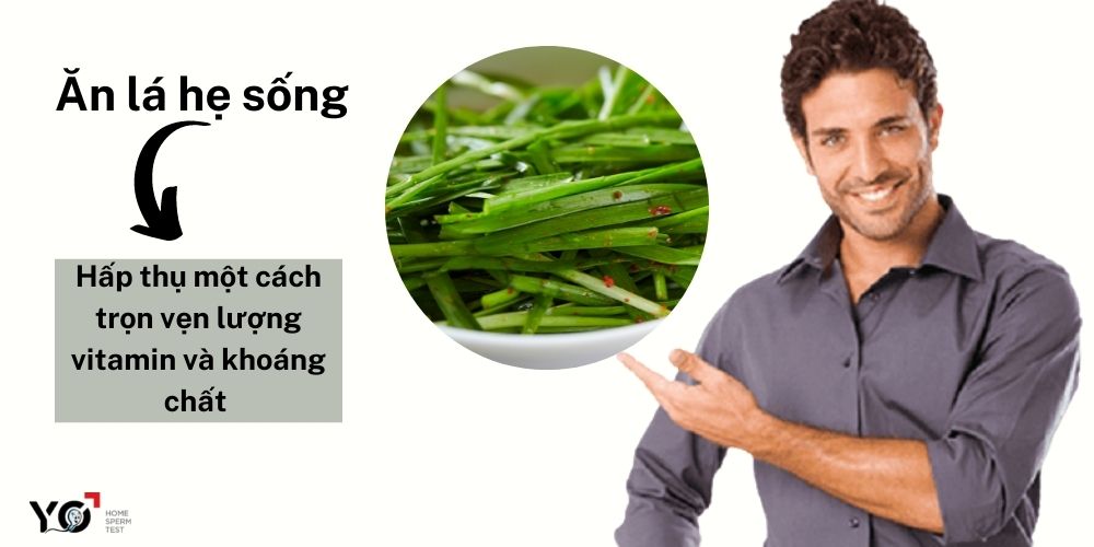 Chữa yếu sinh lý nam bằng cách ăn lá hẹ sống