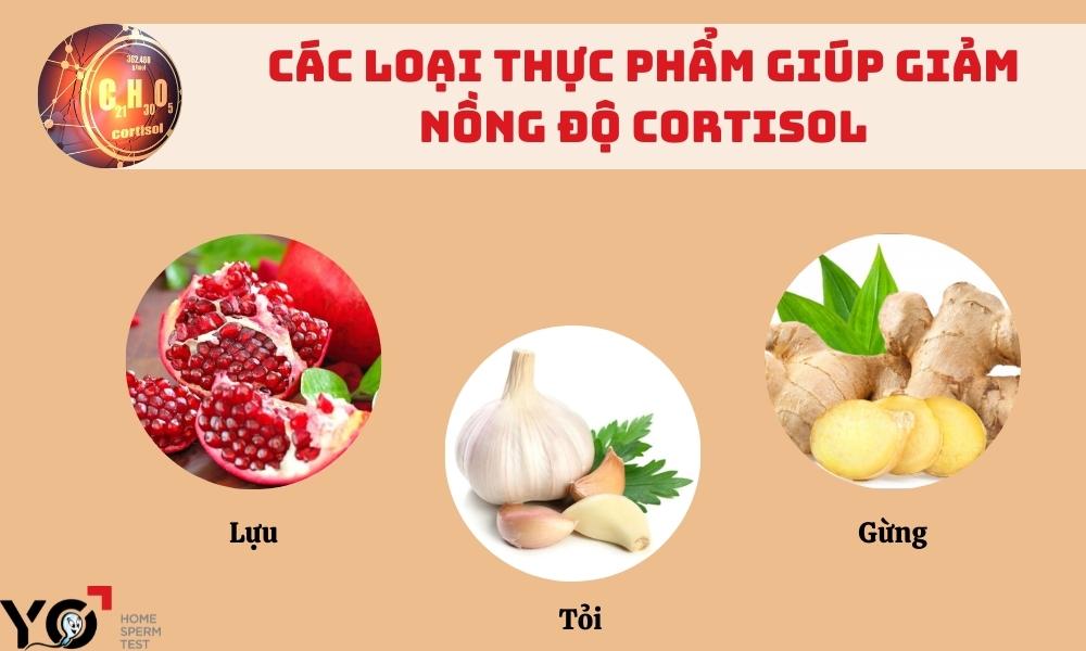 Giảm nồng độ Cortisol giúp tăng Testosterone
