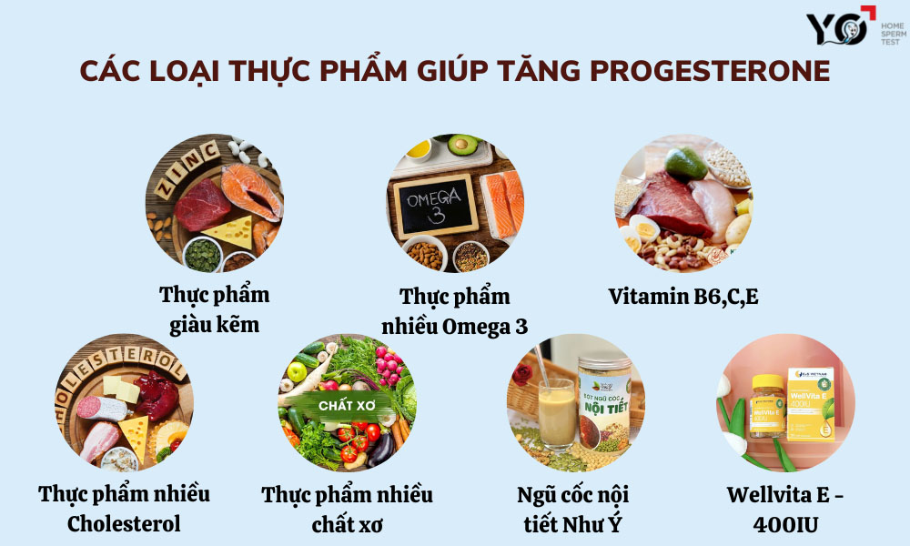 Các loại thực phẩm giúp tăng Progesterone hiệu quả