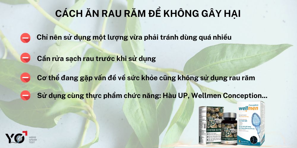 Cách ăn rau răm để không gây vô sinh
