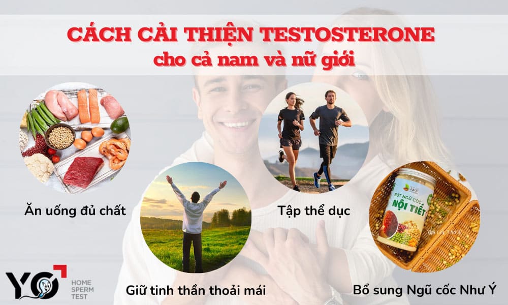 Cách cải thiện Testosterone cho cả nam và nữ
