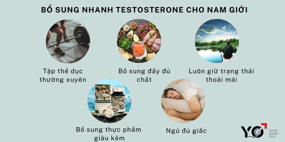 Những cách bổ sung Testosterone cho nam giới