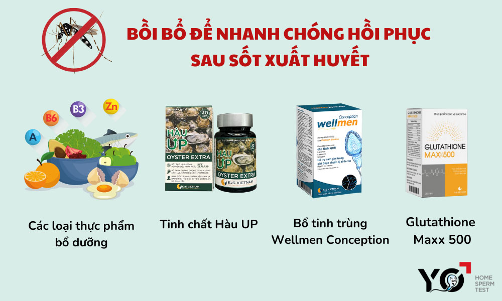 Đừng quên bồi bổ để tinh trùng khỏe mạnh trở lại sau khi bị sốt xuất huyết