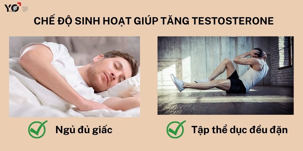 Chế độ sinh hoạt lành mạnh giúp tăng testosterone