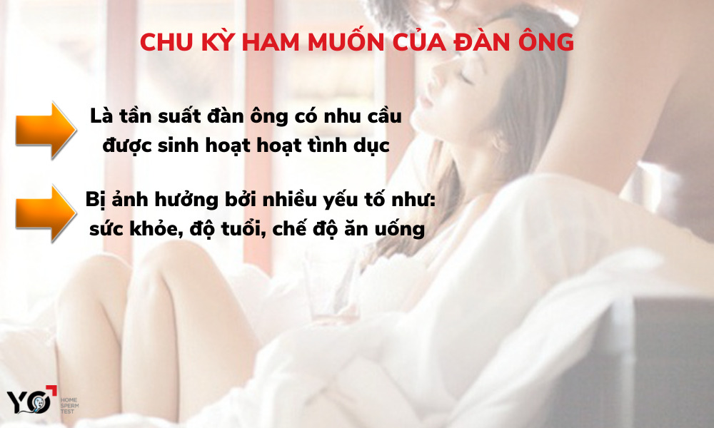 Nhu cầu và ham muốn tình dục của đàn ông thường rất cao