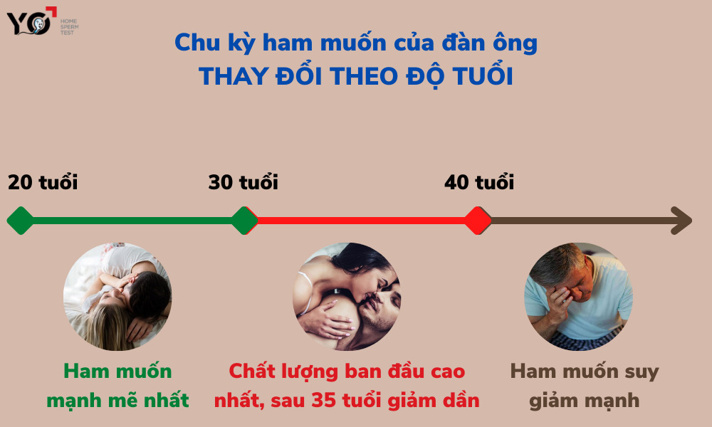 Ở độ tuổi khác nhau chu kỳ ham muốn của đàn ông cũng khác nhau