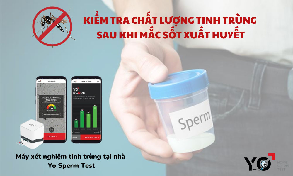 Kiểm tra chất lượng tinh trùng ngay sau khi mắc sốt xuất huyết để có biện pháp cải thiện kịp thời
