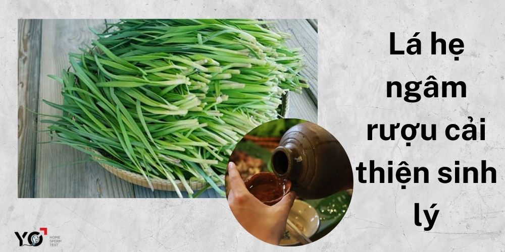 Lá hẹ ngâm rượu giúp cải thiện sinh lý nam 