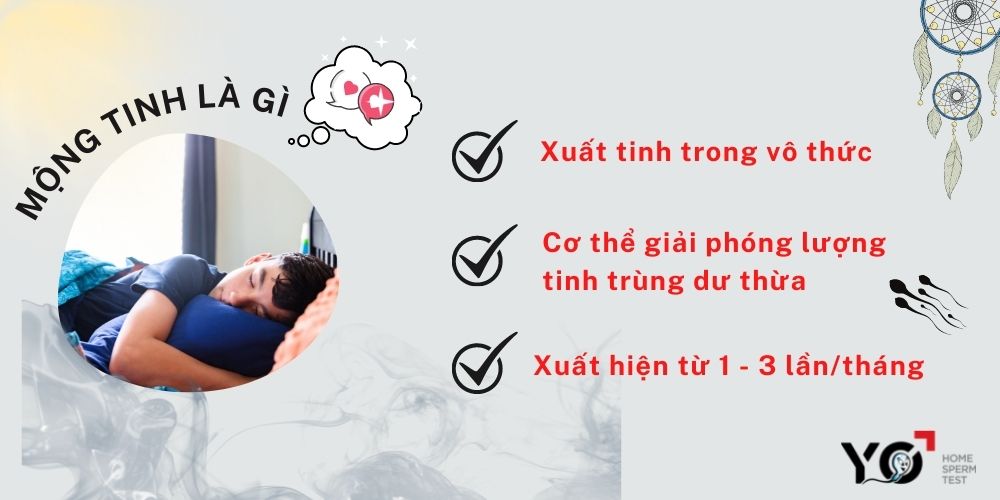 Mộng tinh là hiện tượng xuất tinh trong vô thức